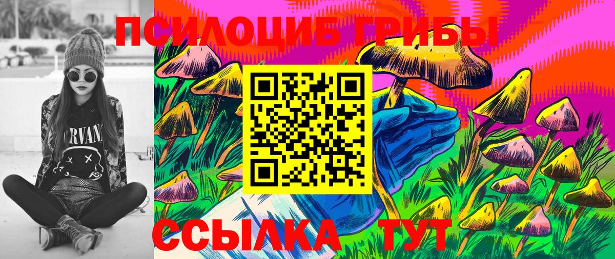 Галлюциногенные грибы Psilocybine cubensis  Вход с VPN  Топки 